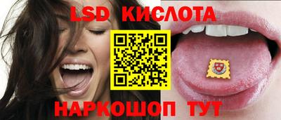 прущие грибы Можайск