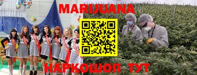 дживик Моздок