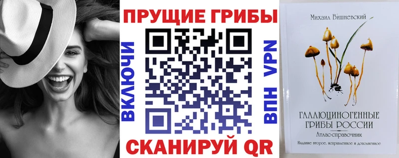 маркетплейс состав  Губкин  Псилоцибиновые грибы Psilocybe 